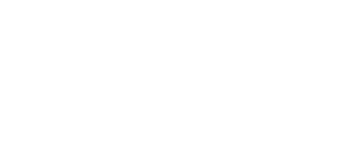 Perino Wealth Management logo