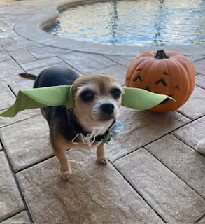 Maddie and Daisy