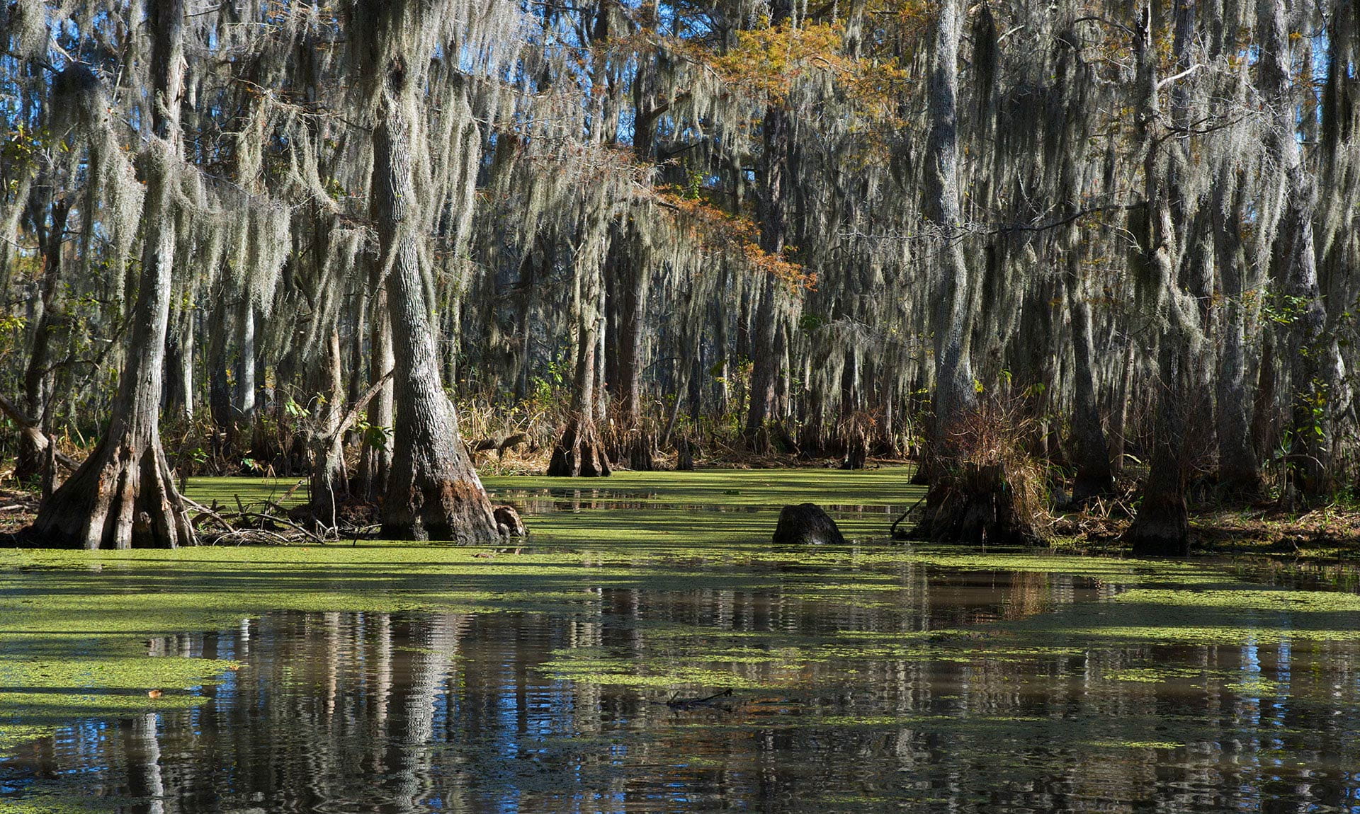 Tallahassee Branch of Raymond James - Tallahassee, FL