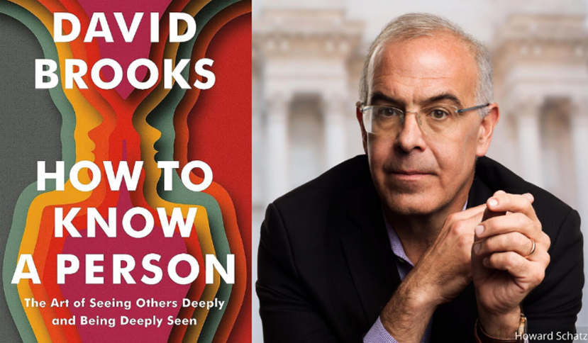 david brooks book