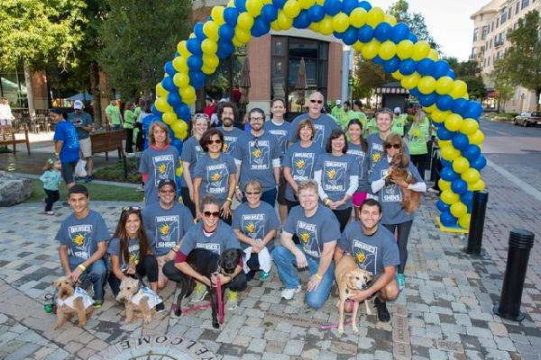 2013 Team Bruised Shins - The Montgomery County VisionWalk of the Foundation Fighting Blindness