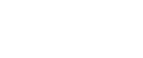 The Bedsole Group Logo