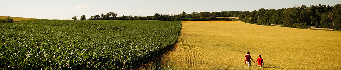 walking in the fields